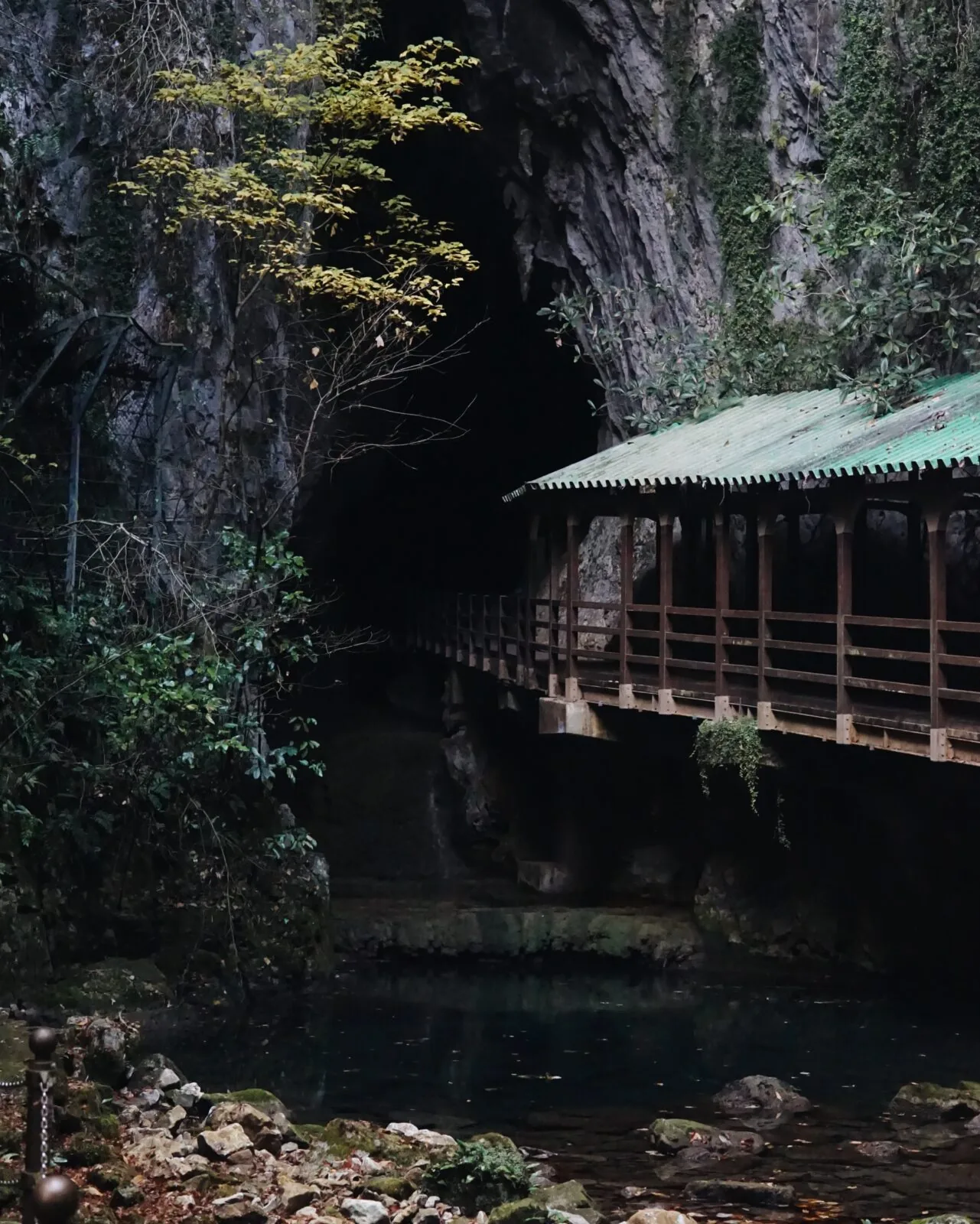 秋芳洞の入口へ続く木造の通路と岩肌