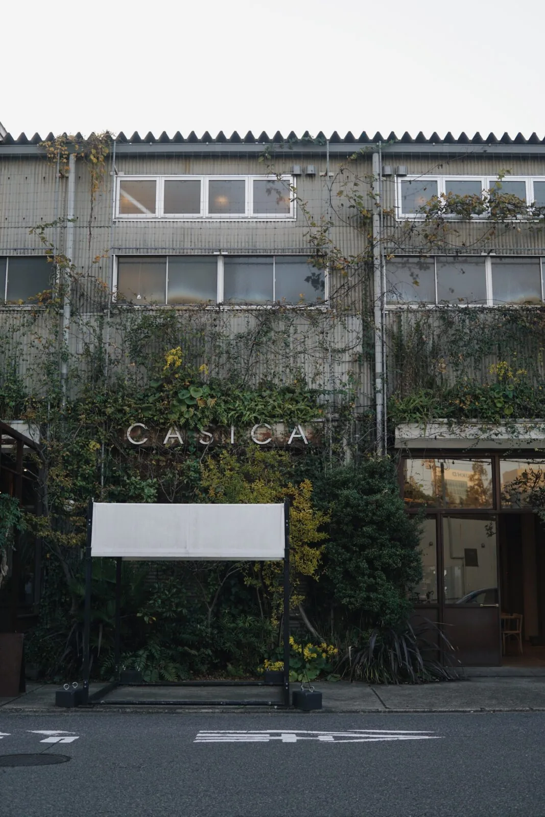 蔦に覆われたCASICAの外観